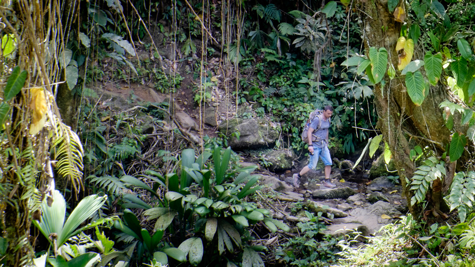 Columbia, 50 km trekking prin jungla.